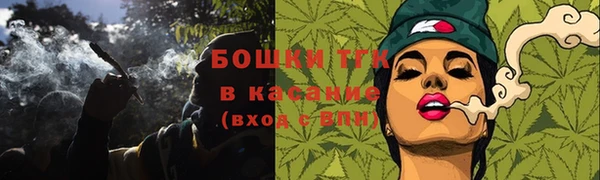 хмурый Зеленокумск