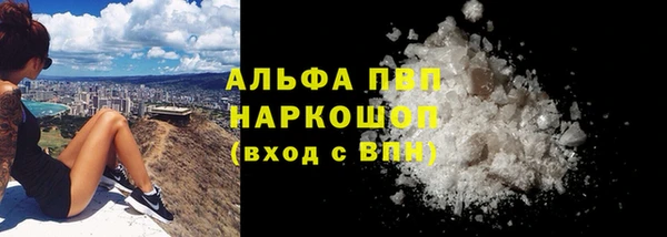 PSILOCYBIN Зерноград