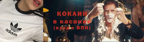 хмурый Зеленокумск