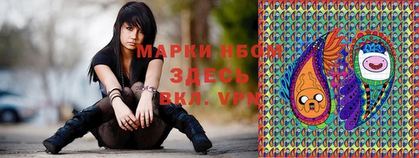 индика Ханты-Мансийск