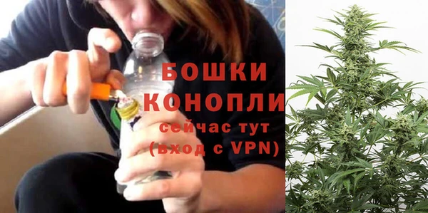 хмурый Зеленокумск
