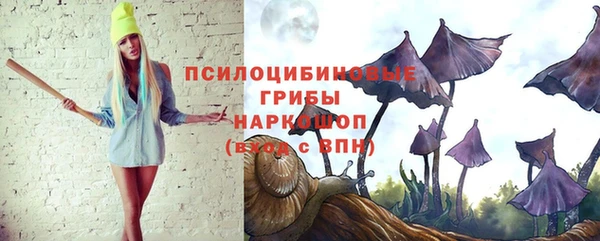 хмурый Зеленокумск