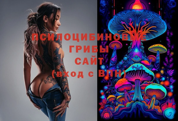 хмурый Зеленокумск